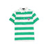 Bamboo Green Wide Striped Polo