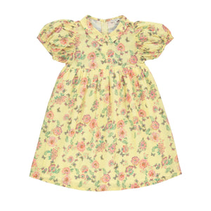 Bebe Organic Spring Meadow Sophia Dress