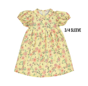 Bebe Organic Spring Meadow Sophia 3/4 Sleeve Dress