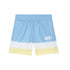 DKNY Pale Blue Colorblock Swim Shorts
